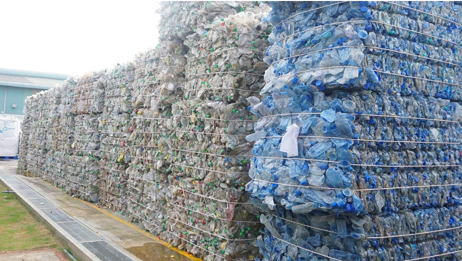 Packaging industry faces green transition pressure: The recycling challenge and the circular economy journey